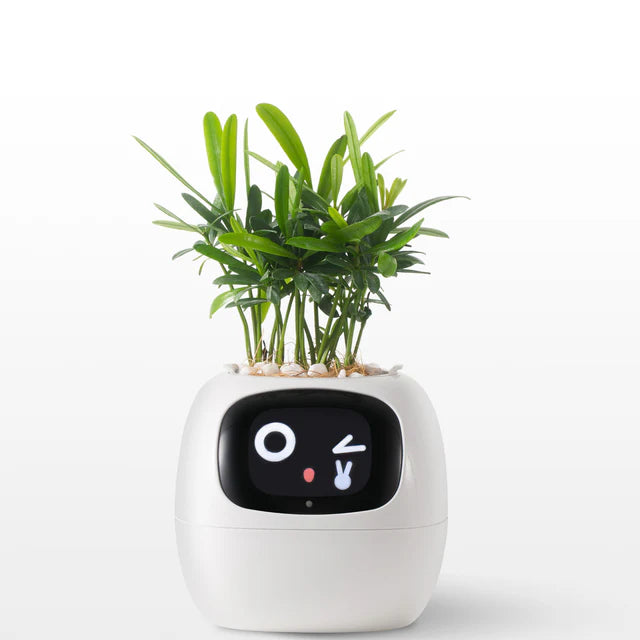 Chloropal™ - Smart Planter