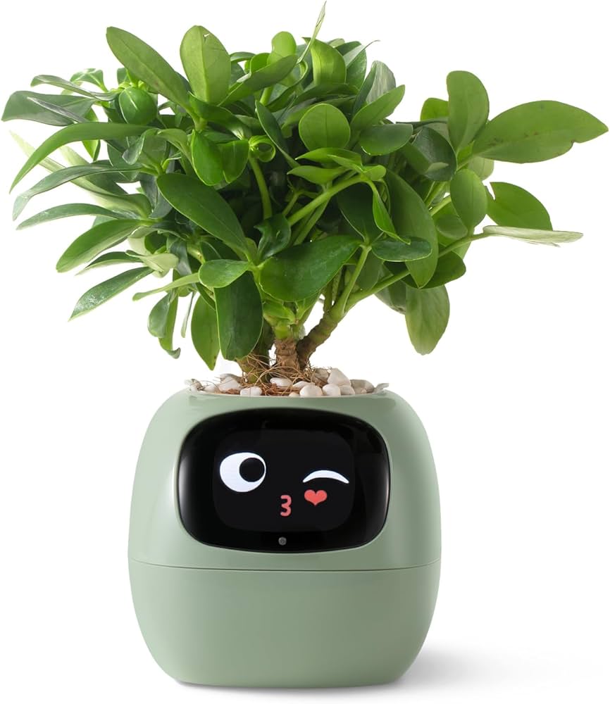 Chloropal™ - Smart Planter