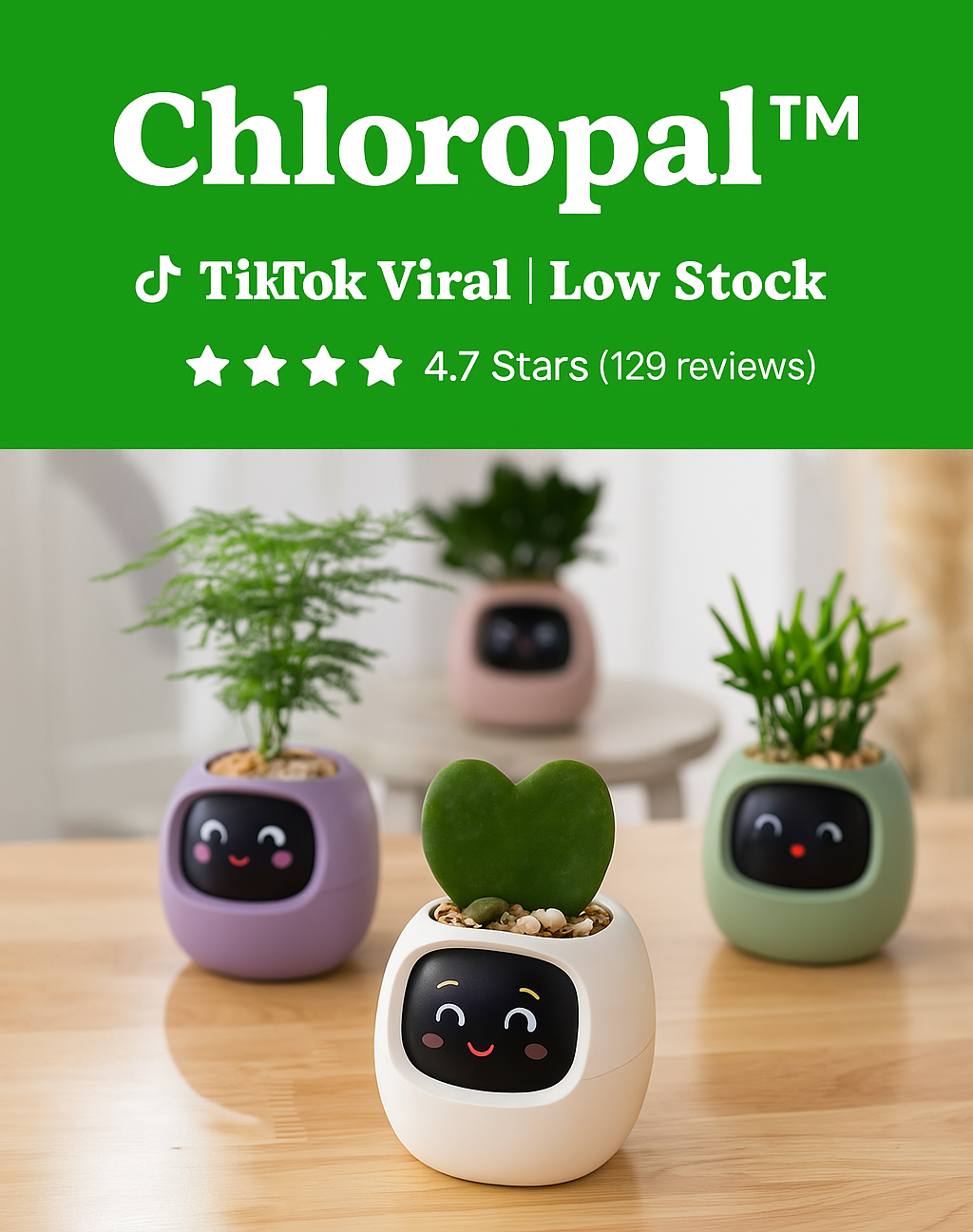 Chloropal™